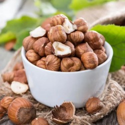 Hazelnut (CLON TPA)
